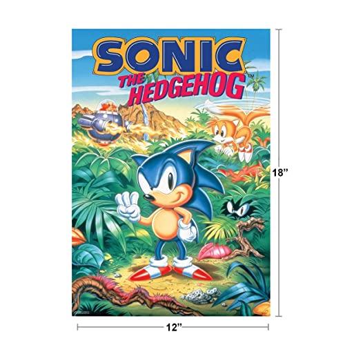 Pyramid America Sonic The Hedgehog Sonic 3 Box Art Sega Video Game Gaming Cool Wall Decor Art Print Poster 12x18
