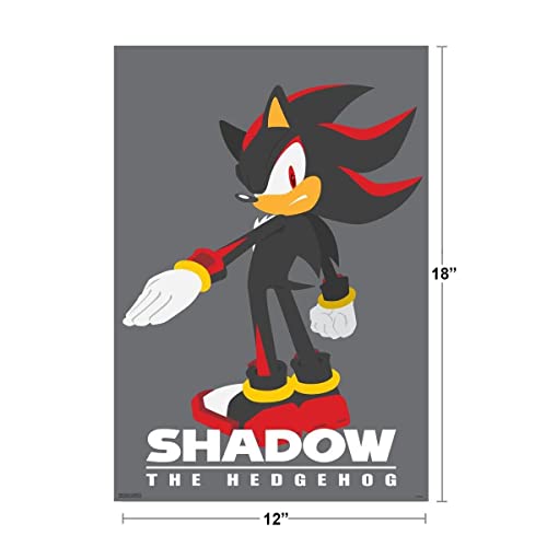 Pyramid America Sonic The Hedgehog Shadow Sega Video Game Gaming Cool Wall Decor Art Print Poster 12x18