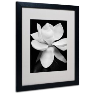 magnolia canvas wall art by michael harrison with black frame, 16 by 20-inch
