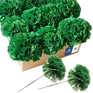 Royal Imports Artificial Carnations, Silk Faux Flowers, for Funeral Arrangements, Wedding Bouquets, Cemetery Wreaths, DIY Crafts - 100 Single 5" Stems - Green