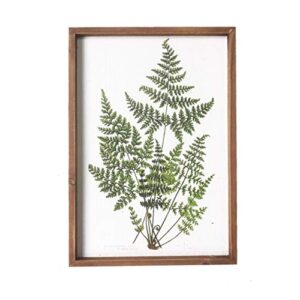 nikky home botanical plant prints framed – 20″ x 14″ fern pictures art wall decor – vintage look with real wood frames