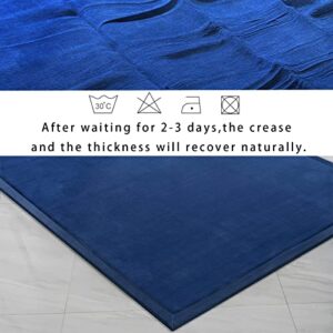 Eanpet Soft Tatami Mat Area Rug Pad Non-Slip Memory Foam Carpet Large Playmats for Kids Crawling Mat Anti-Skid Doormats Living Room Bedroom Mat Women Gym Mat (Navy Blue)