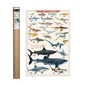 eurographics dangerous sharks poster, 36 x 24 in