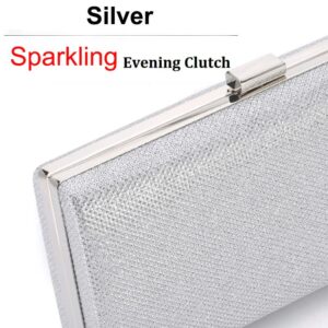 Womens Vintage Bag Envelope Clutch Silver Evening Handbag For Cocktail/Wedding/Party (Silver)