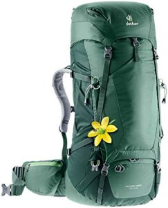deuter futura vario 45 + 10 sl women’s hiking backpack, seagreen-forest, standard