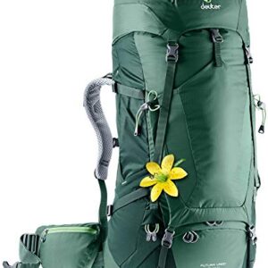 Deuter Futura Vario 45 + 10 SL Women’s Hiking Backpack, Seagreen-Forest, Standard