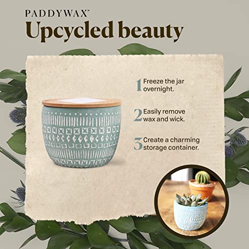 Paddywax Candles Sonora Collection Scented Candle, 10-Ounce, Bergamot and Fresh Fig