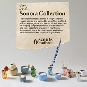 Paddywax Candles Sonora Collection Scented Candle, 10-Ounce, Bergamot and Fresh Fig