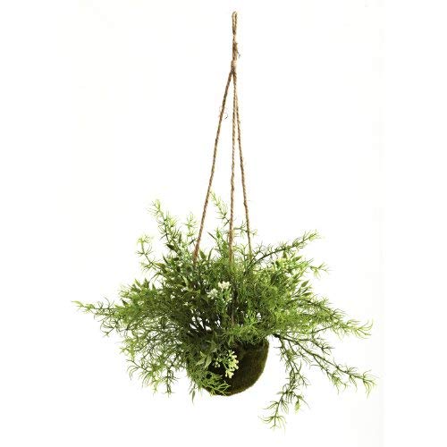 Nearly Natural 6742-S3 Ruscus Sedum Springeri Hanging Basket, Green, Set of 3,6.75" x 6.75" x 22.5"