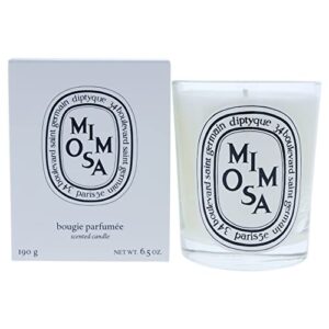 diptyque mimosa candle-6.5 oz.,white,b0043tvxsc