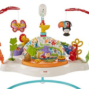 Fisher-Price Baby Bouncer Animal Activity Jumperoo With Music Lights Sounds And Developmental Toys For Infants