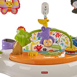 Fisher-Price Baby Bouncer Animal Activity Jumperoo With Music Lights Sounds And Developmental Toys For Infants