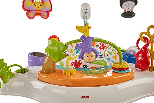 Fisher-Price Baby Bouncer Animal Activity Jumperoo With Music Lights Sounds And Developmental Toys For Infants