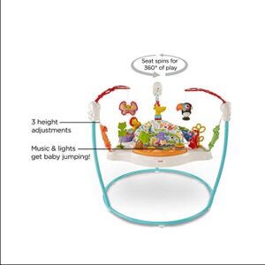 Fisher-Price Baby Bouncer Animal Activity Jumperoo With Music Lights Sounds And Developmental Toys For Infants