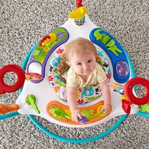 Fisher-Price Baby Bouncer Animal Activity Jumperoo With Music Lights Sounds And Developmental Toys For Infants