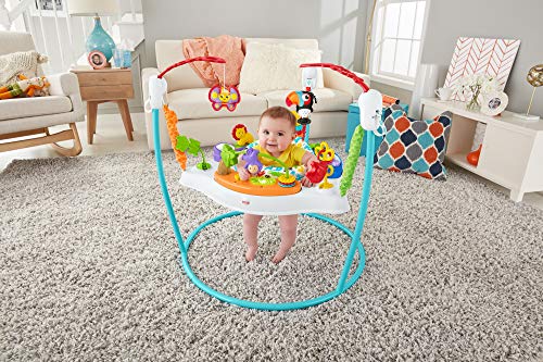 Fisher-Price Baby Bouncer Animal Activity Jumperoo With Music Lights Sounds And Developmental Toys For Infants