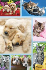 trends international keith kimberlin – puppies and kittens collage wall poster, 22.375″ x 34″, unframed version