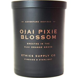 ethics supply co. ojai pixie blossom candle | 12 oz | sweet clementine, warm tangerine, white lily | infused with essential oils & a premium grade of aromatic oils | 60 hour burn time
