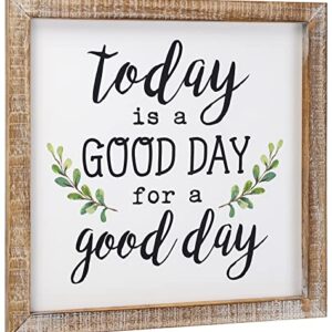 SANY DAYO HOME Today is A Good Day to Have A Good Day Inspirational Sayings Wall Decor Signs 12 x 12 inch Rustic Wood Framed Modern Farmhouse Wall Hanging Art (with Leaves)