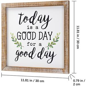 SANY DAYO HOME Today is A Good Day to Have A Good Day Inspirational Sayings Wall Decor Signs 12 x 12 inch Rustic Wood Framed Modern Farmhouse Wall Hanging Art (with Leaves)