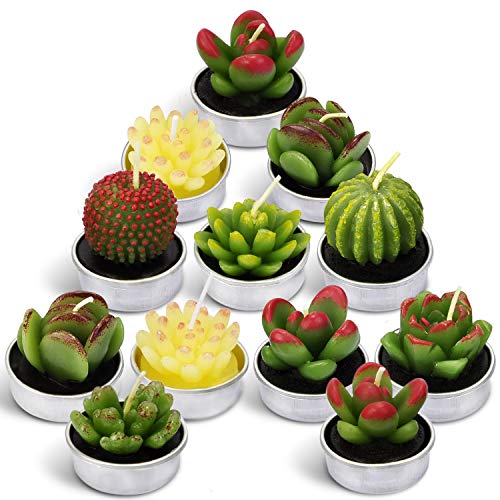 Cactus Tea Lights Candles, Terrarium Candle Gift Set for Mothers Day Valentines Day Gifts, Smokeless Handmade Cute Gifts Candles for Home Scented Birthday Wedding Props House Warming Party (12 Packs)