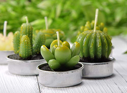 Cactus Tea Lights Candles, Terrarium Candle Gift Set for Mothers Day Valentines Day Gifts, Smokeless Handmade Cute Gifts Candles for Home Scented Birthday Wedding Props House Warming Party (12 Packs)