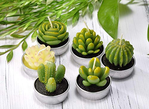 Cactus Tea Lights Candles, Terrarium Candle Gift Set for Mothers Day Valentines Day Gifts, Smokeless Handmade Cute Gifts Candles for Home Scented Birthday Wedding Props House Warming Party (12 Packs)