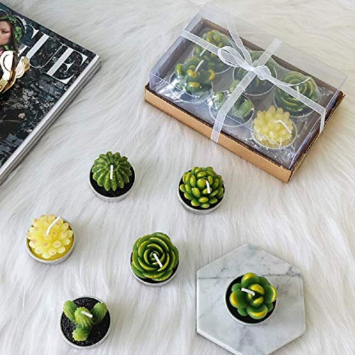 Cactus Tea Lights Candles, Terrarium Candle Gift Set for Mothers Day Valentines Day Gifts, Smokeless Handmade Cute Gifts Candles for Home Scented Birthday Wedding Props House Warming Party (12 Packs)