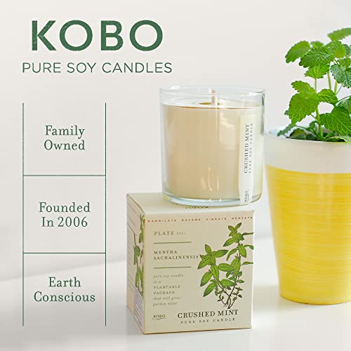 KOBO Wild Tomato Vine Candle with Plantable Box (9 oz) | Plant The Box Collection, 100% Pure Soy Wax Candles | Hand-Poured in USA | Long Lasting 60 Hour Burning Candles | Scented Candles for Home