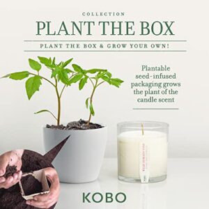 KOBO Wild Tomato Vine Candle with Plantable Box (9 oz) | Plant The Box Collection, 100% Pure Soy Wax Candles | Hand-Poured in USA | Long Lasting 60 Hour Burning Candles | Scented Candles for Home