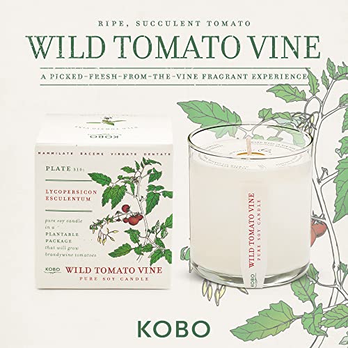 KOBO Wild Tomato Vine Candle with Plantable Box (9 oz) | Plant The Box Collection, 100% Pure Soy Wax Candles | Hand-Poured in USA | Long Lasting 60 Hour Burning Candles | Scented Candles for Home