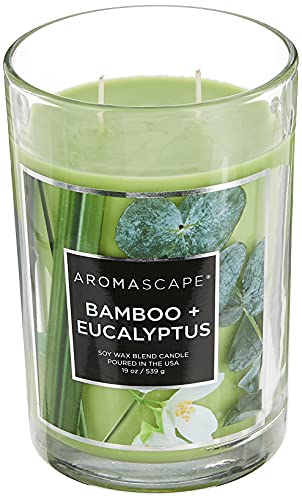 Aromascape PT41900 2-Wick Scented Jar Candle, Bamboo & Eucalyptus, 19-Ounce, Green