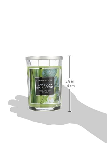 Aromascape PT41900 2-Wick Scented Jar Candle, Bamboo & Eucalyptus, 19-Ounce, Green