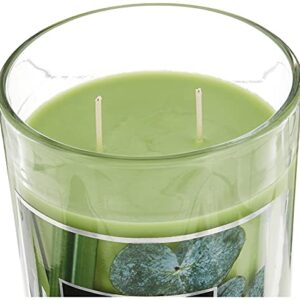 Aromascape PT41900 2-Wick Scented Jar Candle, Bamboo & Eucalyptus, 19-Ounce, Green