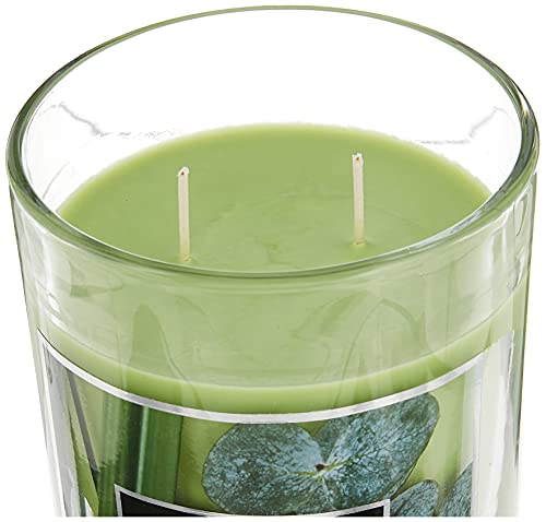 Aromascape PT41900 2-Wick Scented Jar Candle, Bamboo & Eucalyptus, 19-Ounce, Green