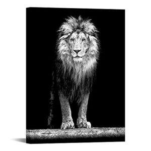 levvarts – lion canvas print,portrait of beautiful lion in the dark wall art stretched wood frame,black and white animal canvas pictures for living room decoration,ready to hang