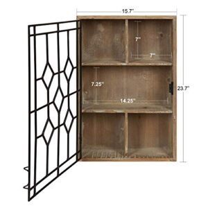 Kate and Laurel Megara Decorative Wooden Wall Hanging Curio Cabinet for Open Storage with Decorative Black Iron Door, Rustic Brown