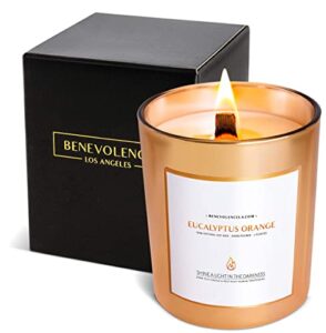benevolence la eucalyptus & orange wood wick candles | 8 oz scented candles for home scented | natural soy candles gifts for women | 45 hour burn aromatherapy candle | perfect spring candles
