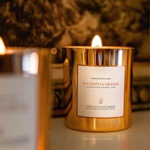 Benevolence LA Eucalyptus & Orange Wood Wick Candles | 8 oz Scented Candles for Home Scented | Natural Soy Candles Gifts for Women | 45 Hour Burn Aromatherapy Candle | Perfect Spring Candles