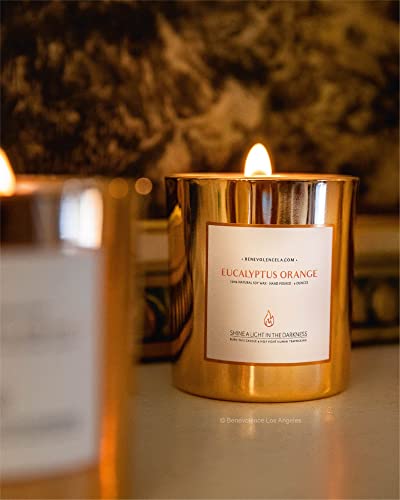 Benevolence LA Eucalyptus & Orange Wood Wick Candles | 8 oz Scented Candles for Home Scented | Natural Soy Candles Gifts for Women | 45 Hour Burn Aromatherapy Candle | Perfect Spring Candles