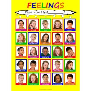 laminated 18×24 child feelings poster
