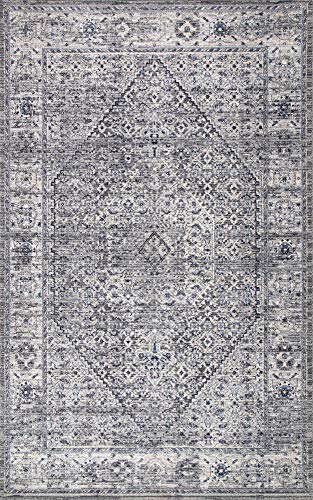 nuLOOM Victoria Distressed Medallion Area Rug, 9' x 12', Grey