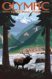 olympic national park, washington, grand valley, elk (9×12 wall art print, home decor)