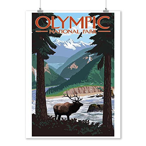 Olympic National Park, Washington, Grand Valley, Elk (9x12 Wall Art Print, Home Decor)