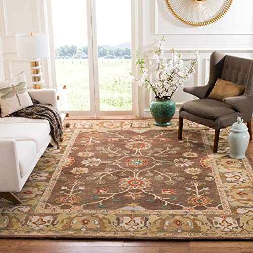 SAFAVIEH Anatolia Collection 4' x 6' Brown / Gold AN562A Handmade Traditional Oriental Premium Wool Area Rug