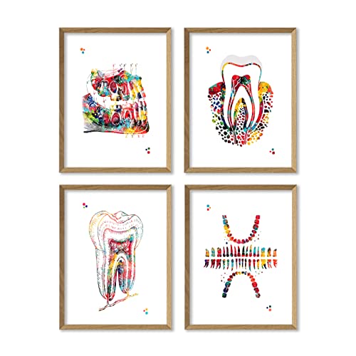 Dental Watercolor Art Prints Orthodontist Dentist Dentistry Assistant Student Wall Art Decor Gifts Dental Office Wall Art Decor Dental Hygienist Gifts 8x10 Unframed Print Set