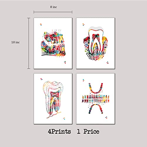 Dental Watercolor Art Prints Orthodontist Dentist Dentistry Assistant Student Wall Art Decor Gifts Dental Office Wall Art Decor Dental Hygienist Gifts 8x10 Unframed Print Set