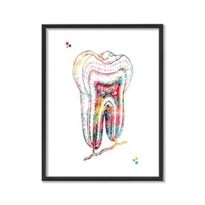 Dental Watercolor Art Prints Orthodontist Dentist Dentistry Assistant Student Wall Art Decor Gifts Dental Office Wall Art Decor Dental Hygienist Gifts 8x10 Unframed Print Set