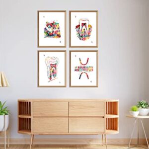 Dental Watercolor Art Prints Orthodontist Dentist Dentistry Assistant Student Wall Art Decor Gifts Dental Office Wall Art Decor Dental Hygienist Gifts 8x10 Unframed Print Set