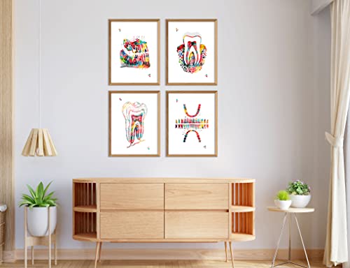 Dental Watercolor Art Prints Orthodontist Dentist Dentistry Assistant Student Wall Art Decor Gifts Dental Office Wall Art Decor Dental Hygienist Gifts 8x10 Unframed Print Set